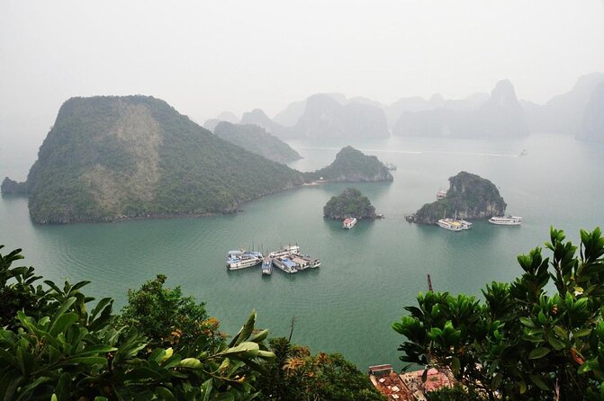 Best Halong 5 star Day Trip, inclusive,buffet,cave,kayak,transfer - Key points to know before booking