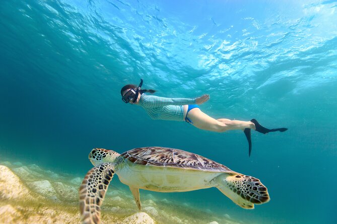 Best of Mangrove Lagoon Kayak, Hike and Snorkel Adventure with Picnic Lunch - Why the Mangrove Lagoon is worth your time