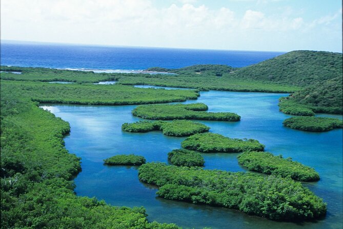 Best of Mangrove Lagoon Kayak, Hike and Snorkel Adventure with Picnic Lunch - Cas Cay and the volcanic blowhole