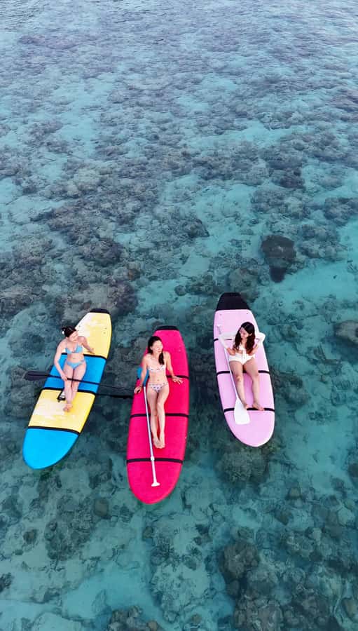 Best Sunrise SUP Or Kayak With Drone Shoot - What the $20 price really buys you