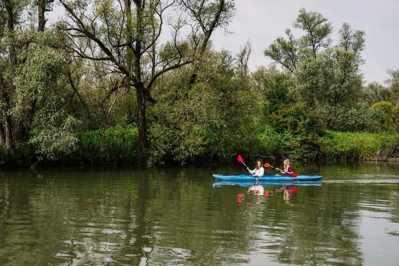 Biesbosch: Kayak Rental with Route Map and Life Jacket - Following the 1.5-hour route