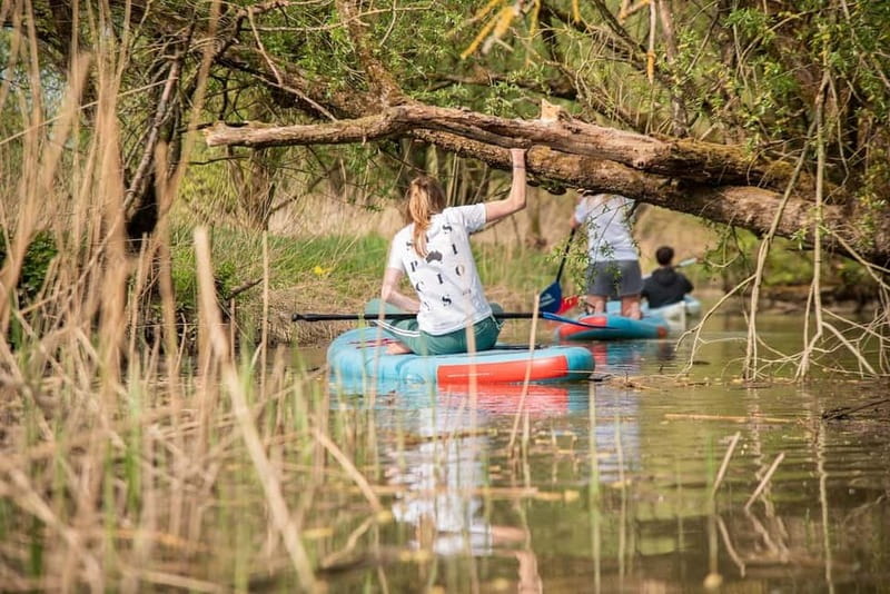 Biesbosch: Kayak Rental with Route Map and Life Jacket - High tide, low tide, and route choices