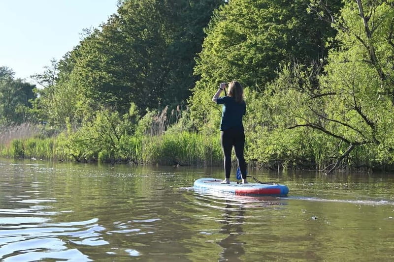 Biesbosch: SUP Board Rental - Starting at the Stayokay jetty