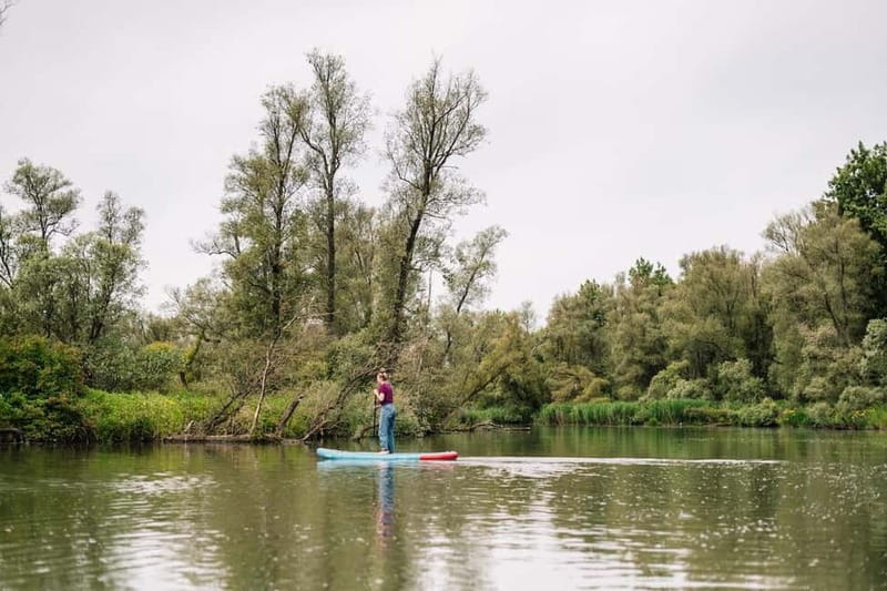 Biesbosch: SUP Board Rental - Following a route through the Biesbosch creeks