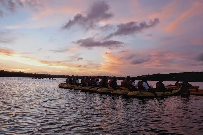 Bio Bay Kayak Tour in Fajardo - What the $89 price includes