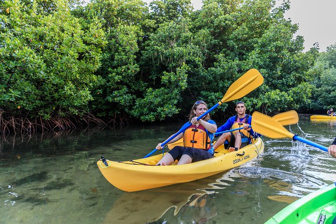 Bio Bay Night Kayak Tour with Transport from San Juan - Key points to know before booking