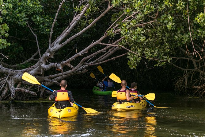 Bio Bay Night Kayak Tour with Transport from San Juan - San Juan to Fajardo: a long afternoon on the road