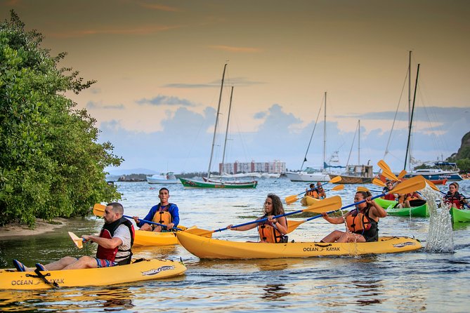 Bio Bay Night Kayak Tour with Transport from San Juan - Laguna Grande and the glow beneath your paddle