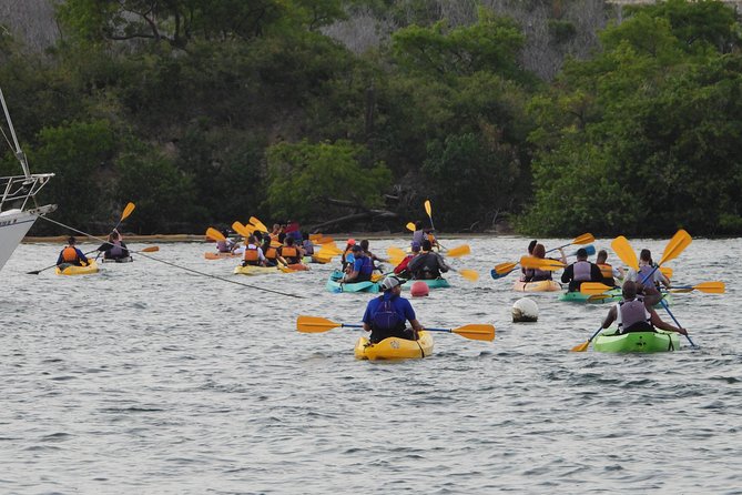 Bio Bay Night Kayak Tour with Transport from San Juan - The return trip can be the hardest part