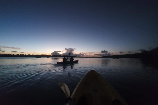 Bio Bay Night Kayak Tour with Transport from San Juan - Guides, teaching, and the small-group feel