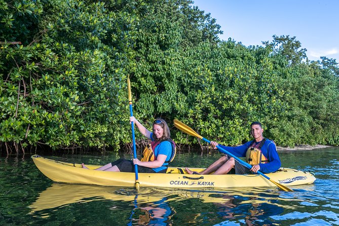 Bio Bay Night Kayak Tour with Transport from San Juan - A first paddle through Las Cabezas de San Juan