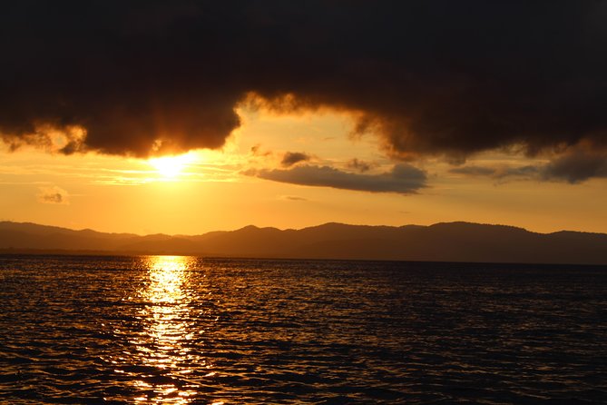 Bio-Luminescence and Sunset Kayak Tour - Five things to know before you book