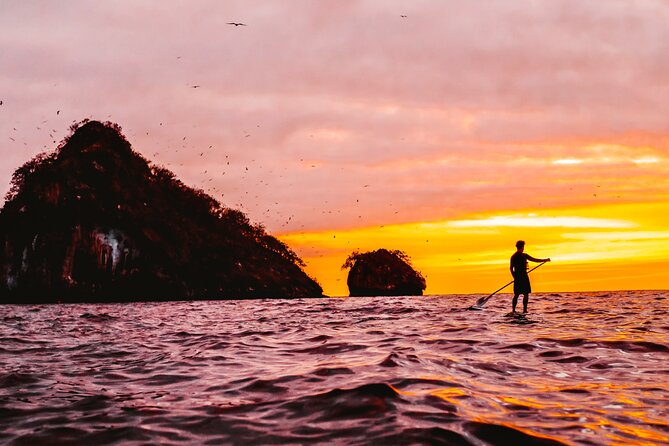 Bioluminescence by kayak or SUP to Los Arcos Puerto Vallarta - From downtown Puerto Vallarta to Mismaloya