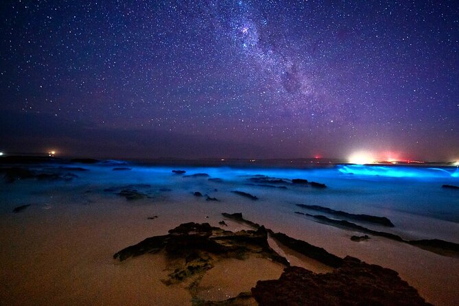 Bioluminescence Clear Kayak or Paddleboard Tour Near Orlando - Getting comfortable in the kayak or on the paddleboard