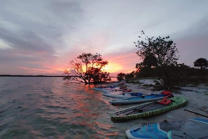 Bioluminescence Clear Kayak or Paddleboard Tour Near Orlando - What the bioluminescence really looks like