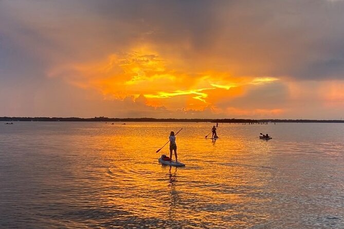 Bioluminescence Clear Kayak or Paddleboard Tour Near Orlando - Guides make a large difference