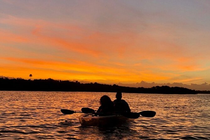 Bioluminescence Kayak Tour - What the Two-Hour Paddle Feels Like