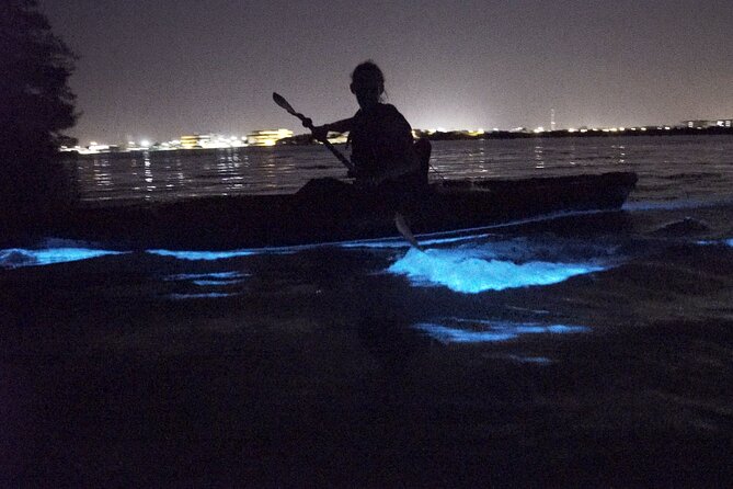 Bioluminescence Kayak Tour - Winter Comb Jellies: Small Creatures You Can Hold