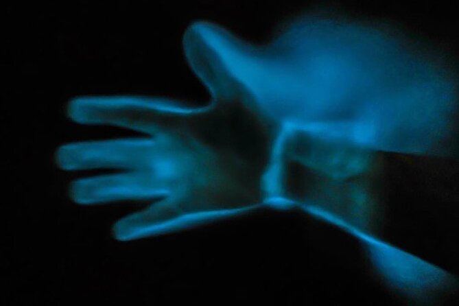 Bioluminescence Kayak Tour - The Guides Set the Tone After Dark