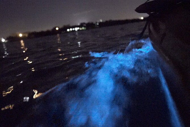 Bioluminescence Kayak Tour - Is the Experience Worth the Cost?