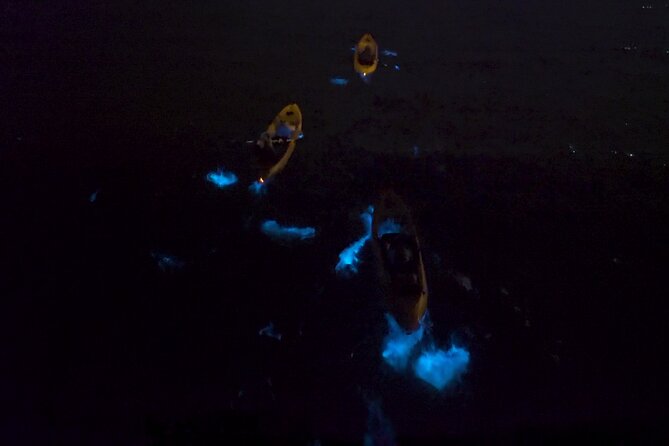 Bioluminescence Kayak Tour - Who Should Book This Cocoa Beach Night Paddle?