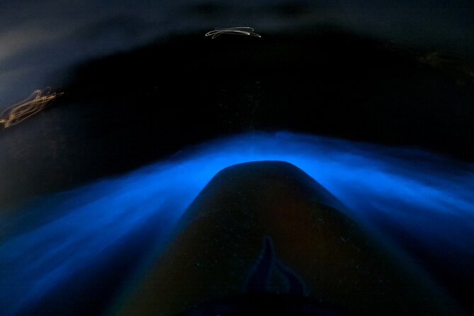 Bioluminescence Kayak Tour - Est. 1994 - Five things to know before you book