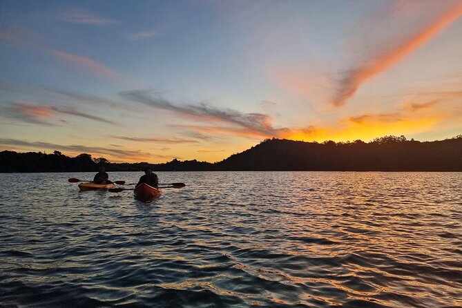 Bioluminescence Kayak Tour - Est. 1994 - Why Auckland’s night water is worth your evening