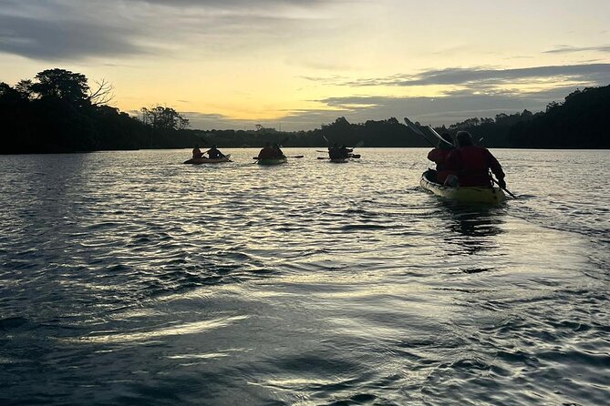 Bioluminescence Kayak Tour - Est. 1994 - What the bioluminescence really looks like