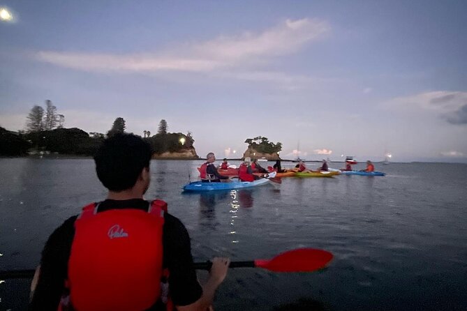 Bioluminescence Kayak Tour - Est. 1994 - Is the $73.85 price fair?