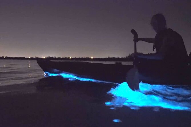 Bioluminescence Kayak Tour - Est. 1994 - Who will enjoy this most?
