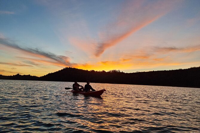 Bioluminescence Kayak Tour - Est. 1994 - From Rosedale to the launch area