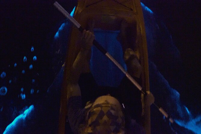 Bioluminescence Kayak Tour - Summer Dinoflagellates: The Best Chance for Blue-Green Glow