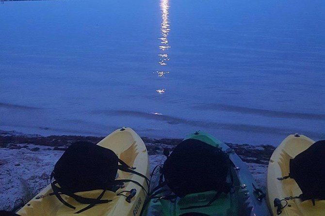 Bioluminescence Night Kayaking Tour of Merritt Island Wildlife Refuge - Meeting at Haulover Canal in Mims