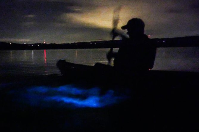 Bioluminescence Night Kayaking Tour of Merritt Island Wildlife Refuge - When the water starts to glow