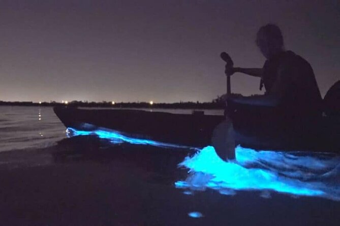 Bioluminescence Tour in Kayak in Holbox Island - What the $50.78 price really buys you