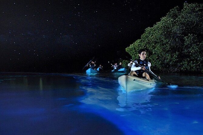 Bioluminescence Tour in Kayak in Holbox Island - Kayaking toward Punta Mosquito
