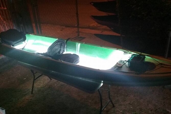 Bioluminescent Bay Kayak Trip from Vieques - Clear-bottom kayaks reveal the glow