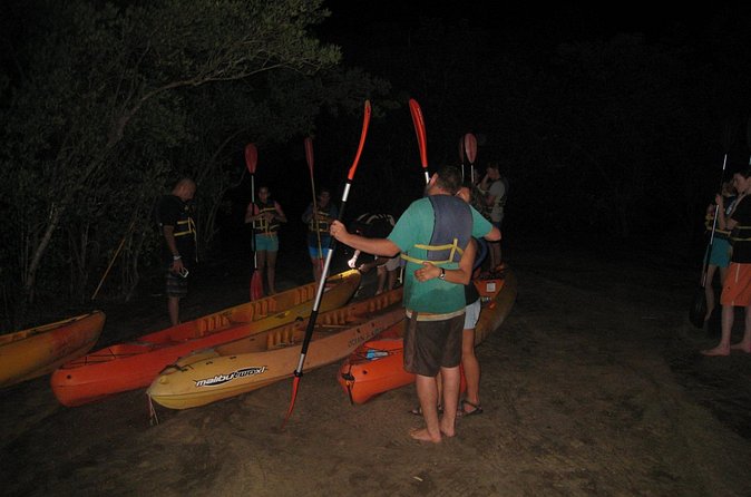 Bioluminescent Bay Kayak Trip from Vieques - How bright will the bay be?