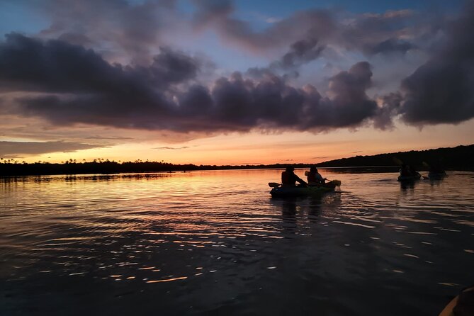 Bioluminescent Bay Night Kayaking Adventure in Puerto Rico - Key points before you book