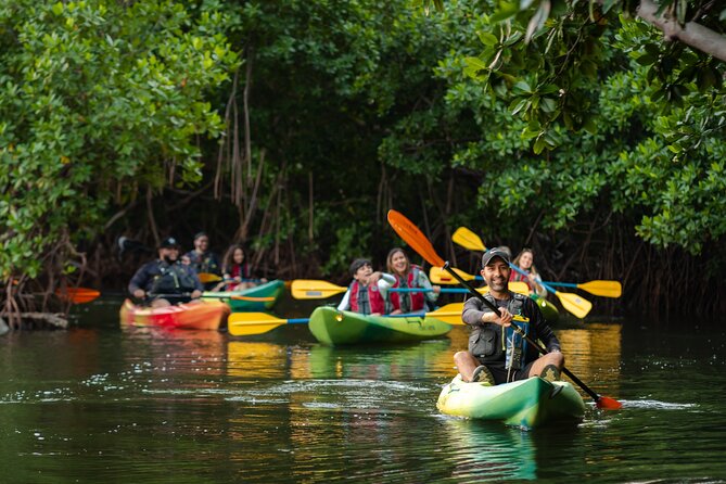 Bioluminescent Bay Night Kayaking Adventure in Puerto Rico - Brightness is the great unknown