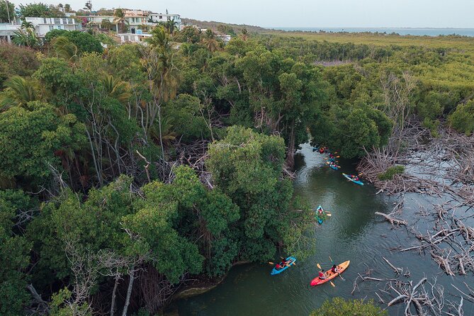 Bioluminescent Bay Night Kayaking Adventure in Puerto Rico - Crowds, traffic, and group size
