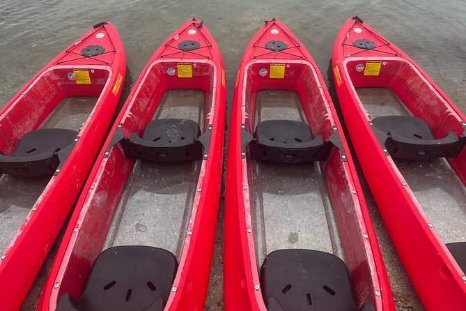 Bioluminescent Clear Bottom Kayak or Paddleboard Sit-On-Top Kayak Hybrid Tour! - What makes the Indian River Waterway special at night