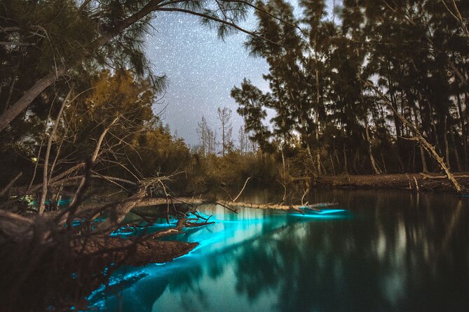 Bioluminescent Clear Kayak Tours in Titusville - Key points to know before you book