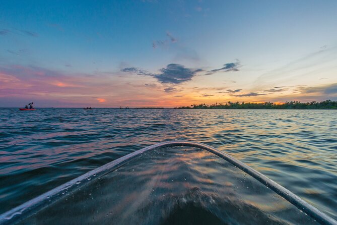 Bioluminescent Clear Kayak Tours in Titusville - The one-hour paddle through the lagoon