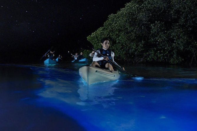 Bioluminescent Kayak Tour by THE #1 Rated Company in Cocoa Beach - Why the Banana River Lagoon makes this tour special