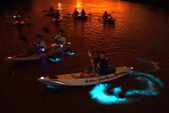 Bioluminescent Kayak Tour by THE #1 Rated Company in Cocoa Beach - Choosing between a single and tandem kayak