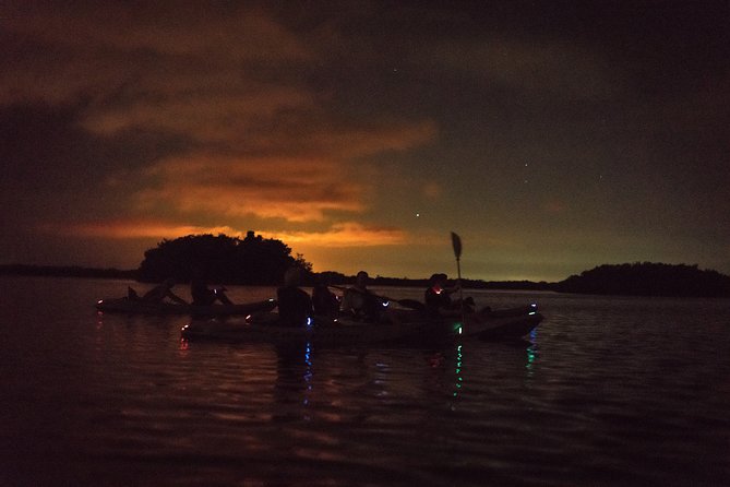 Bioluminescent Kayak Tour by THE #1 Rated Company in Cocoa Beach - The best and less certain parts of the experience