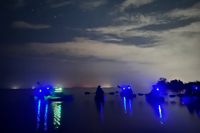 Bioluminescent Kayak Tour in Floridas Indian River Lagoon - Quick takeaways