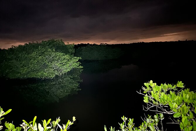 Bioluminescent Kayak Tour in Floridas Indian River Lagoon - What the two-hour itinerary feels like