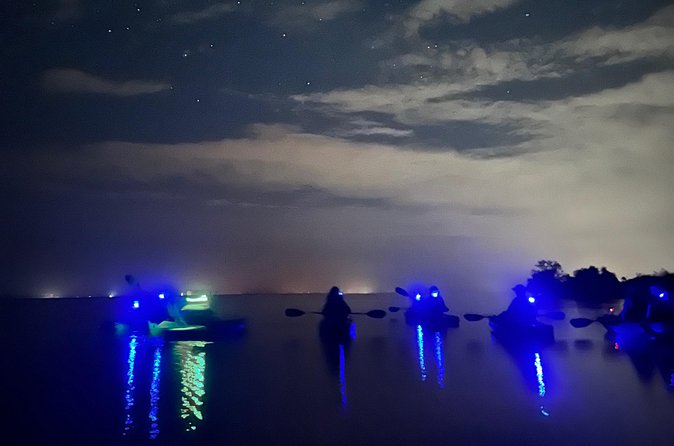 Bioluminescent Kayak Tour in Floridas Indian River Lagoon - Who will enjoy this kayak tour most